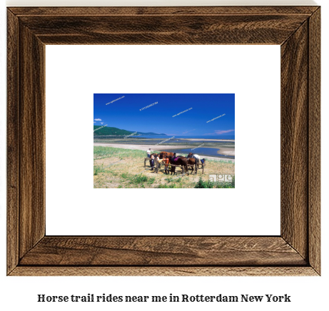 horse trail rides near me in Rotterdam, New York